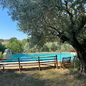 Cocotte Pierrerue (Alpes-de-Haute-Provence)